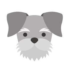 cute dog mascot icon vector illustration design