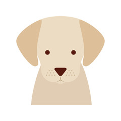cute dog mascot icon vector illustration design