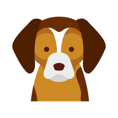 cute dog mascot icon vector illustration design