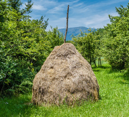 Traditional haystack on the meadow surrounded by green  trees