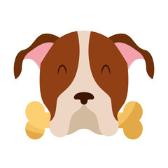 cute dog mascot with bone vector illustration design