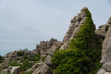 Fototapeta na wymiar stone formation in torcal national park