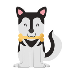 cute dog mascot with bone vector illustration design
