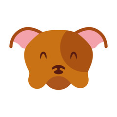 cute dog mascot icon vector illustration design