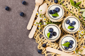 Greek Yogurt with Blueberries and Granola Parfait. Selective focus.