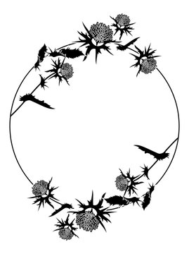 Round frame with thistle silhouette. Vector clip art.