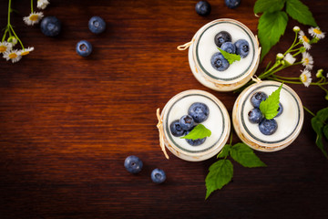 Greek Yogurt Dessert with Blueberries. Selective focus.
