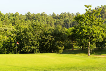 green in golf course