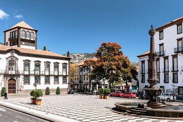 Funchal - Rathausplatz - Madeira - obrazy, fototapety, plakaty