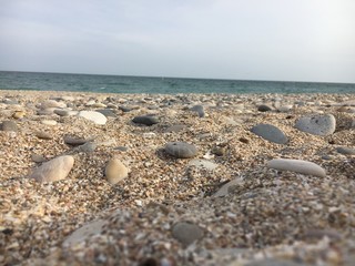 sable 