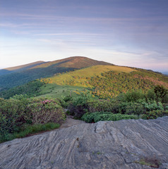 Roan Mountain Sunrise 