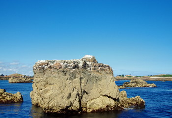 ile de bréhat