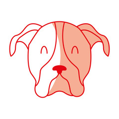 cute dog mascot icon vector illustration design