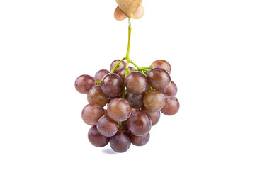 Grape on isolated white background