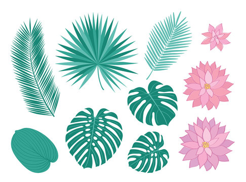 Set of tropical leaves and pink flowers. Sketch, floral elements for your design. Vector illustration.
