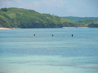 Obraz premium Turtle beach (Tanjung Aan) Kuta. Lombok. Indonesia