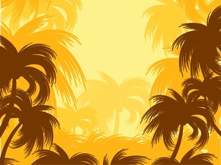 Fototapeta na wymiar The Landscape with a tropical palm trees. 