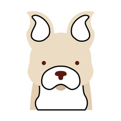 cute dog mascot icon vector illustration design