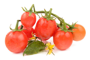 juicy tomatoes on white background