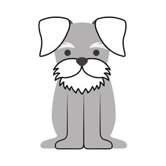 cute dog mascot icon vector illustration design