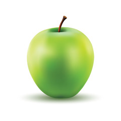 Gradient Mesh Vector Illustration of a Photo Realistic Apple
