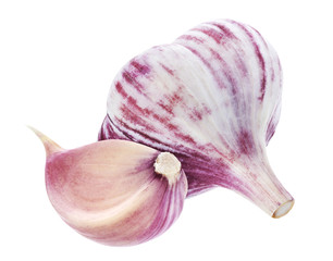 Isolated garlic. Whole garlic and clove isolated on white background