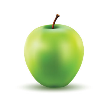 Gradient Mesh Vector Illustration of a Photo Realistic Apple
