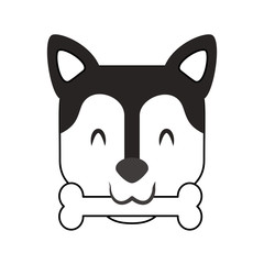 cute dog mascot with bone vector illustration design