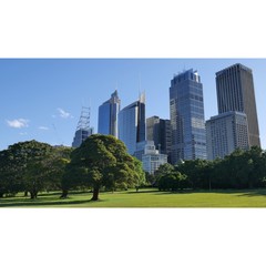 Fototapeta premium SYDNEY ROYAL BOTANIQUE GARDEN