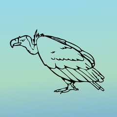 Hand-drawn pencil graphics, vulture, eagle, osprey, falcon, hawk, scavenger, condor, karkar, kite.Engraving, stencil style. Bird predator.Logo,sign,emblem,symbol Stamp,seal. Simple illustration Sketch