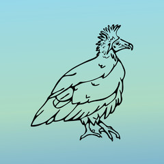 Hand-drawn pencil graphics, vulture, eagle, osprey, falcon, hawk, scavenger, condor, karkar, kite.Engraving, stencil style. Bird predator.Logo,sign,emblem,symbol Stamp,seal. Simple illustration Sketch