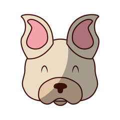 cute dog mascot icon vector illustration design