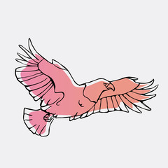 Hand-drawn pencil graphics, vulture, eagle, osprey, falcon, hawk, scavenger, condor, karkar, kite.Engraving, stencil style. Bird predator.Logo,sign,emblem,symbol Stamp,seal. Simple illustration Sketch