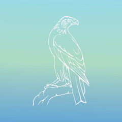 Hand-drawn pencil graphics, vulture, eagle, osprey, falcon, hawk, scavenger, condor, karkar, kite.Engraving, stencil style. Bird predator.Logo,sign,emblem,symbol Stamp,seal. Simple illustration Sketch - 163974684