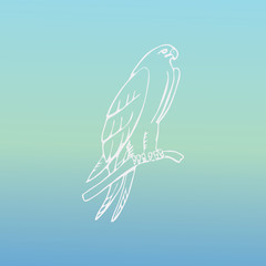 Hand-drawn pencil graphics, vulture, eagle, osprey, falcon, hawk, scavenger, condor, karkar, kite.Engraving, stencil style. Bird predator.Logo,sign,emblem,symbol Stamp,seal. Simple illustration Sketch