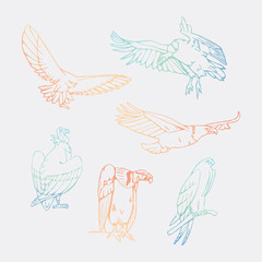 Hand-drawn pencil graphics, vulture, eagle, osprey, falcon, hawk, scavenger, condor, karkar, kite.Engraving, stencil style. Bird predator.Logo,sign,emblem,symbol Stamp,seal. Simple illustration Sketch