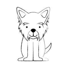 cute dog mascot icon vector illustration design