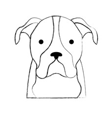 cute dog mascot icon vector illustration design