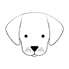 cute dog mascot icon vector illustration design