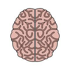 human brain idea creativity thinking memory image