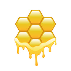 Honey, hexagon. Vector.