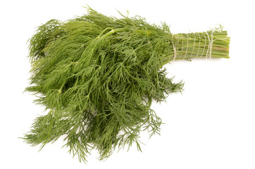 dill on a white background