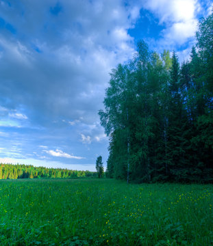 Season summer forest clearing clouds sky panorama landscape