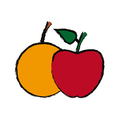 apple and orange fruit nutrition diet vitamins