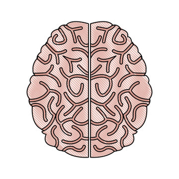 human brain idea creativity thinking memory image