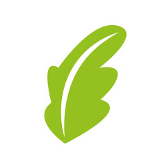 tea leafs product icon vector illustration design