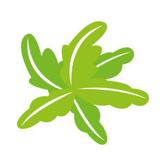 tea leafs product emblem vector illustration design