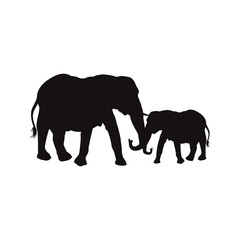 Fototapeta premium mom and baby elephants family animal wildlife