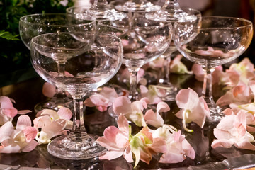 Table setting at a luxury wedding reception party. martini or champagne  glasses in the form of a cascade or pyramid or tower lit light at the wedding party.