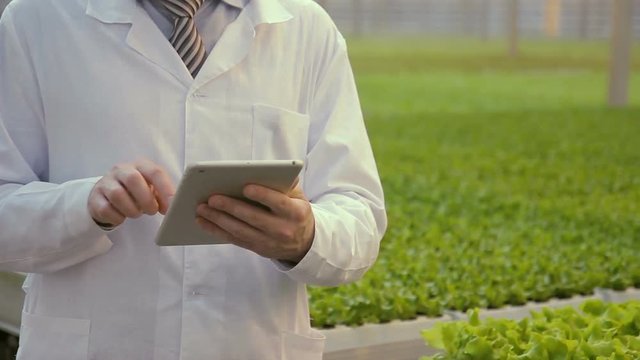 Laboratory assistant stands with tablet in hands in premise of agro-industrial complex. Man carefully typing text on screen of silver device where he fixes final results of research conducted few